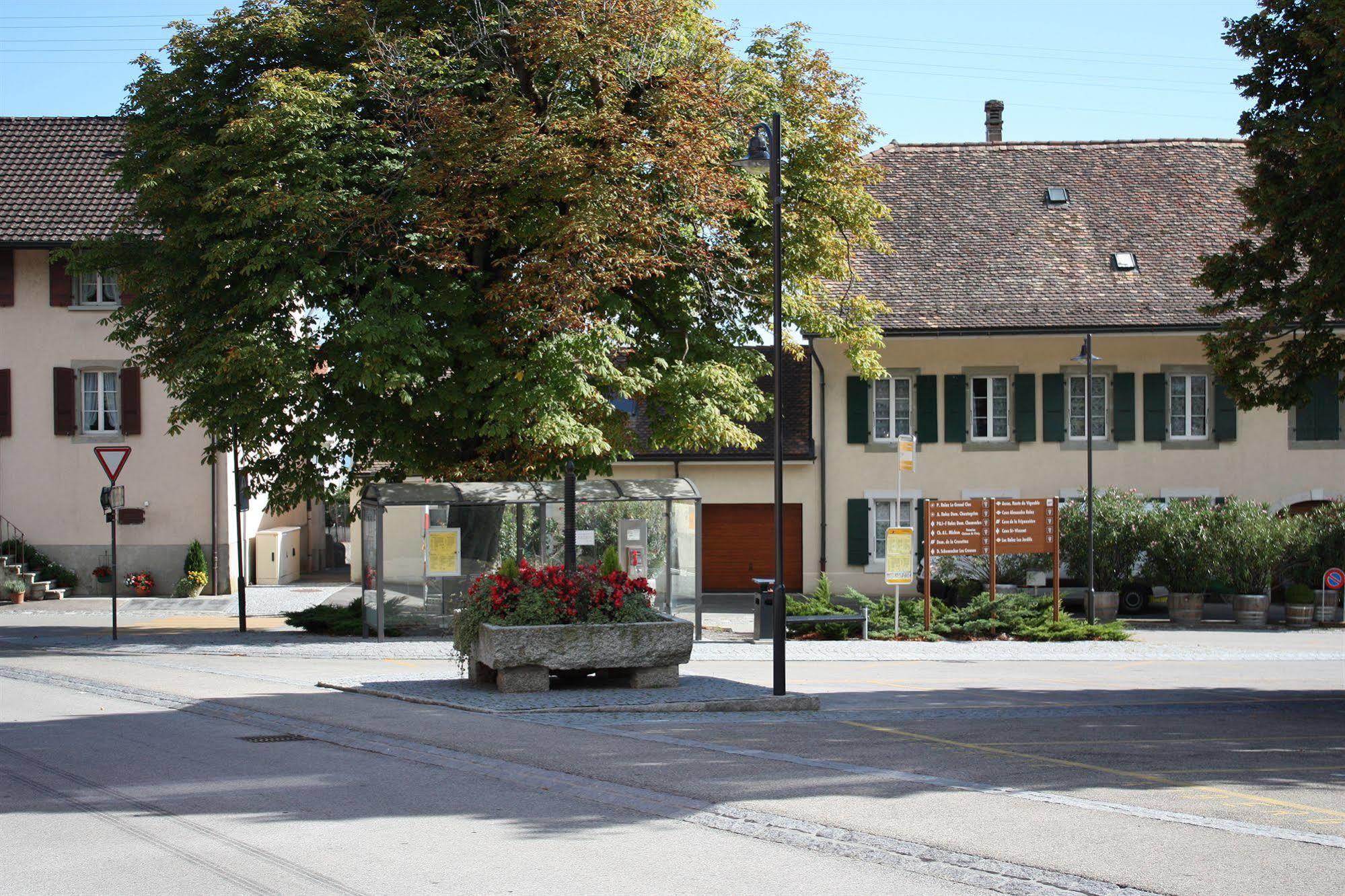 Auberge Communale A L'Union Gilly Zewnętrze zdjęcie